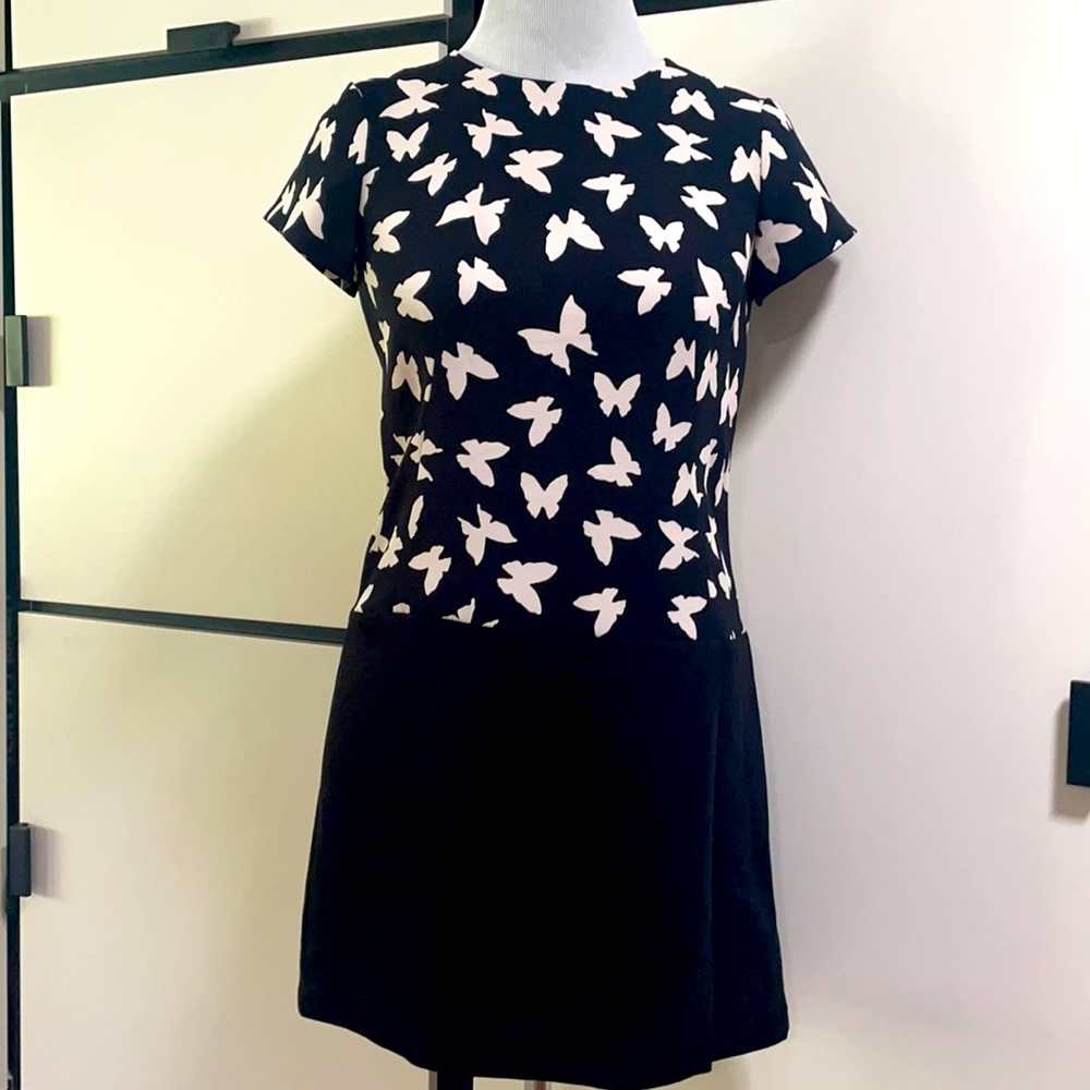 Petite Butterfly Shift Dress - so cute!!